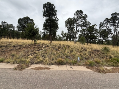 White Mountain Development Lot 5 for Sale in Ruidoso, NM - image 4