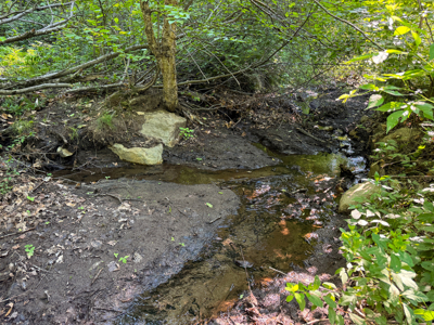 80± Acres of Off-Grid Mountain Land in Mount Chase, Maine - image 11