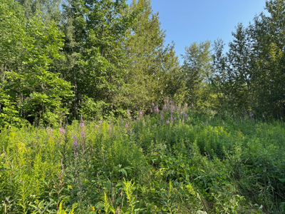 80± Acres of Off-Grid Mountain Land in Mount Chase, Maine - image 6
