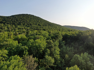 80± Acres of Off-Grid Mountain Land in Mount Chase, Maine - image 5