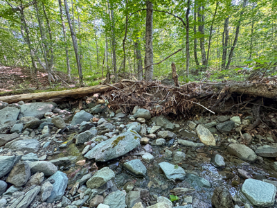 80± Acres of Off-Grid Mountain Land in Mount Chase, Maine - image 15