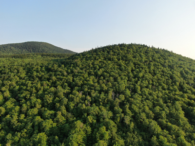 80± Acres of Off-Grid Mountain Land in Mount Chase, Maine - image 2