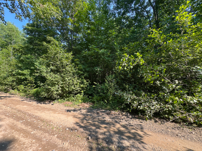 80± Acres of Off-Grid Mountain Land in Mount Chase, Maine - image 10