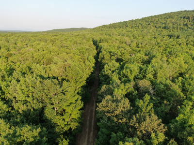 80± Acres of Off-Grid Mountain Land in Mount Chase, Maine - image 4