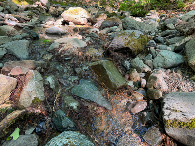 80± Acres of Off-Grid Mountain Land in Mount Chase, Maine - image 20