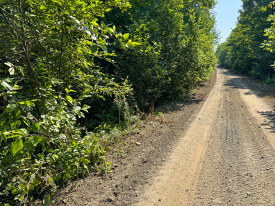 80± Acres of Off-Grid Mountain Land in Mount Chase, Maine - image 8