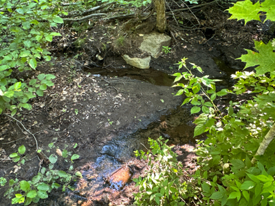 80± Acres of Off-Grid Mountain Land in Mount Chase, Maine - image 30