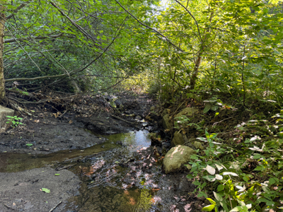 80± Acres of Off-Grid Mountain Land in Mount Chase, Maine - image 12