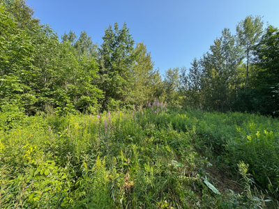 80± Acres of Off-Grid Mountain Land in Mount Chase, Maine - image 7