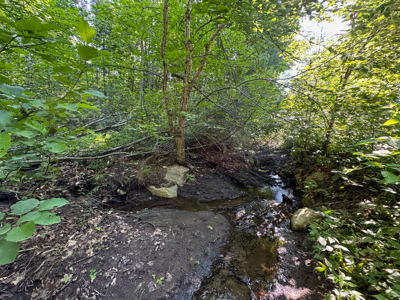 80± Acres of Off-Grid Mountain Land in Mount Chase, Maine - image 13