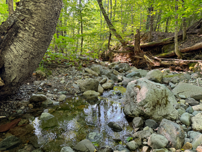 80± Acres of Off-Grid Mountain Land in Mount Chase, Maine - image 14