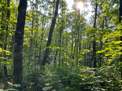 80± Acres of Off-Grid Mountain Land in Mount Chase, Maine - image 34