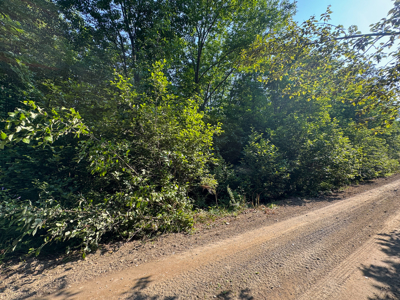 80± Acres of Off-Grid Mountain Land in Mount Chase, Maine - image 9
