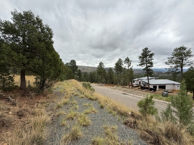 White Mountain Development Lot 6 for Sale in Ruidoso, NM - image 3