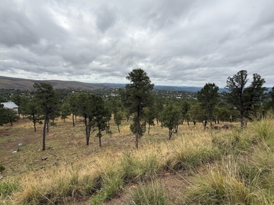White Mountain Development Lot 7 for Sale in Ruidoso, NM - image 3