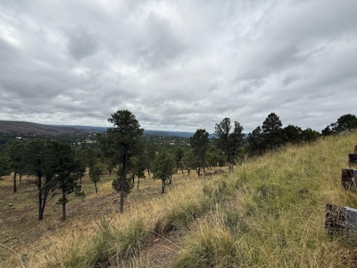 White Mountain Development Lot 7 for Sale in Ruidoso, NM - image 2