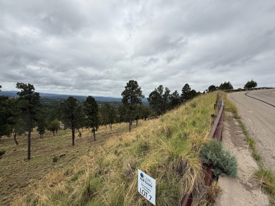 White Mountain Development Lot 7 for Sale in Ruidoso, NM - image 4