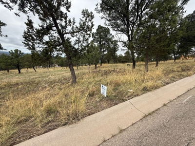 White Mountain Development Lot 9 for Sale in Ruidoso, NM - image 3