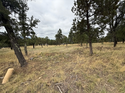 White Mountain Development Lot 9 for Sale in Ruidoso, NM - image 2