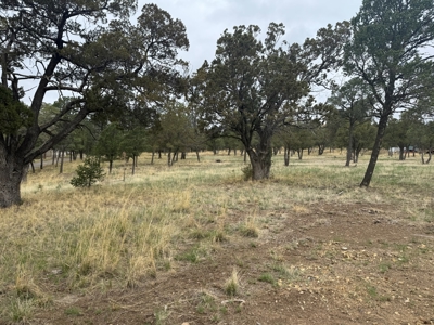 White Mountain Development Lot 10 for Sale in Ruidoso, NM - image 2