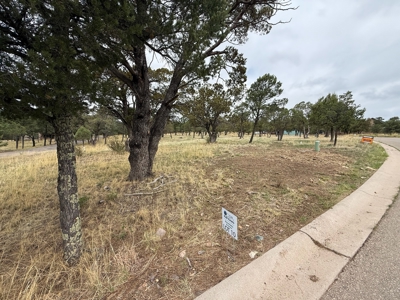 White Mountain Development Lot 10 for Sale in Ruidoso, NM - image 4