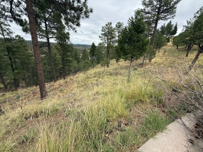 White Mountain Development Lot 11 for Sale in Ruidoso, NM - image 3