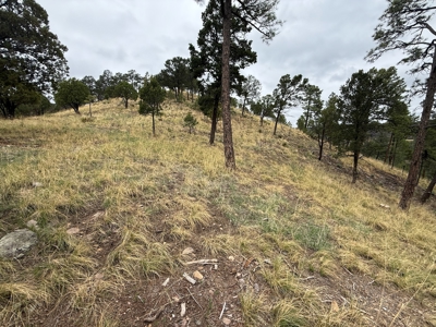 White Mountain Development Lot 12 for Sale in Ruidoso, NM - image 2