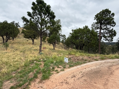 White Mountain Development Lot 12 for Sale in Ruidoso, NM - image 4