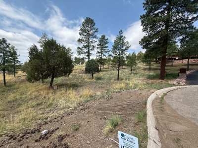 White Mountain Development Lot 13 for Sale in Ruidoso, NM - image 3