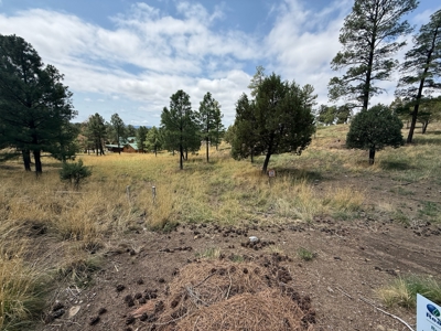 White Mountain Development Lot 13 for Sale in Ruidoso, NM - image 2