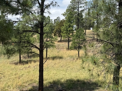 White Mountain Development Lot 14 for Sale in Ruidoso, NM - image 3