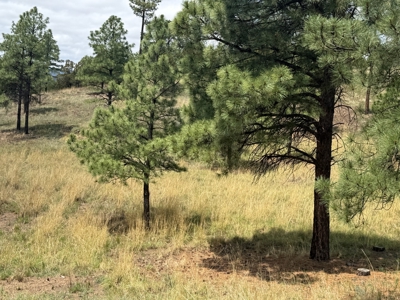 White Mountain Development Lot 14 for Sale in Ruidoso, NM - image 2
