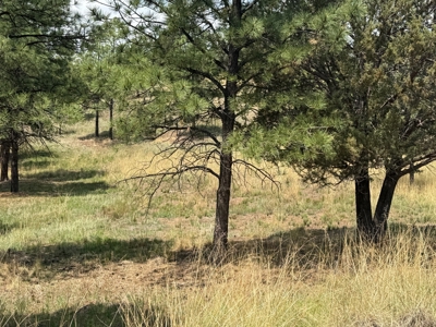 White Mountain Development Lot 15 for Sale in Ruidoso, NM - image 3