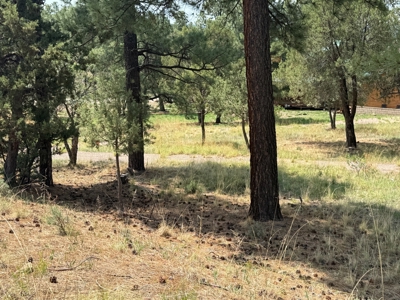 White Mountain Development Lot 15 for Sale in Ruidoso, NM - image 2