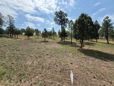 White Mountain Development Lot 16 for Sale in Ruidoso, NM - image 4