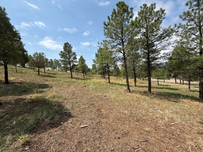 White Mountain Development Lot 16 for Sale in Ruidoso, NM - image 2