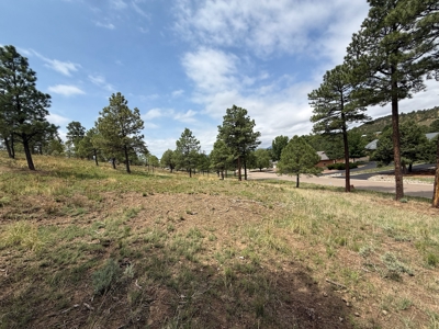 White Mountain Development Lot 17 for Sale in Ruidoso, NM - image 2