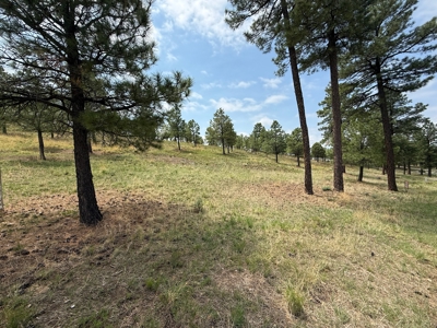 White Mountain Development Lot 17 for Sale in Ruidoso, NM - image 3