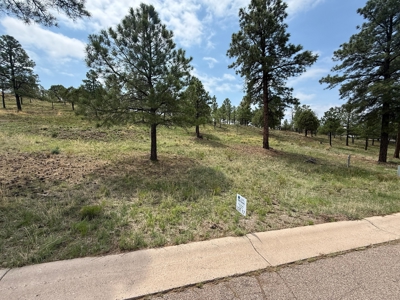 White Mountain Development Lot 17 for Sale in Ruidoso, NM - image 4