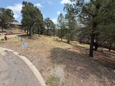 White Mountain Development Lot 18 for Sale in Ruidoso, NM - image 3