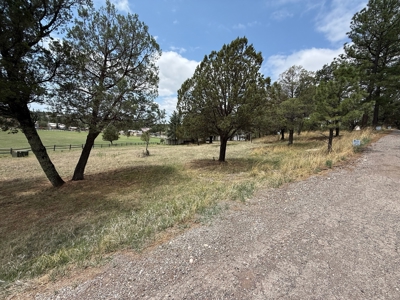 White Mountain Development Lot 19 for Sale in Ruidoso, NM - image 2