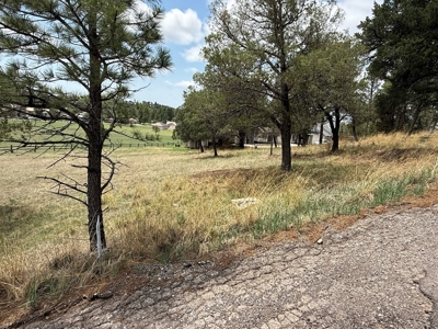 White Mountain Development Lot 20 for Sale in Ruidoso, NM - image 4