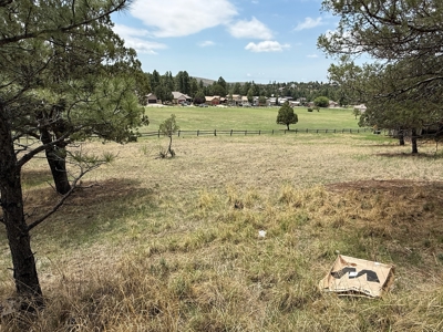 White Mountain Development Lot 20 for Sale in Ruidoso, NM - image 2