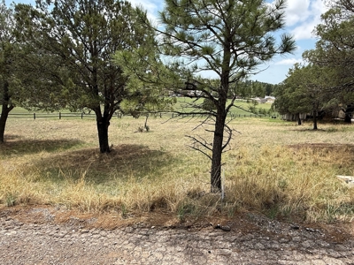White Mountain Development Lot 20 for Sale in Ruidoso, NM - image 3