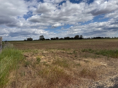 Central Washington Hay Farm for Sale with Homestead / Water Right - image 6