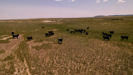 Horizon Flats – 157.224 Acres Near Billings, Montana - image 17