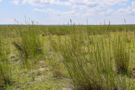 Horizon Flats – 157.224 Acres Near Billings, Montana - image 10