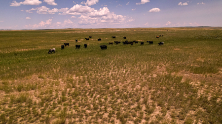 Horizon Flats – 157.224 Acres Near Billings, Montana - image 13