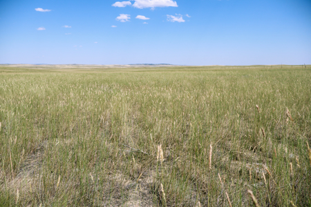 Horizon Flats – 157.224 Acres Near Billings, Montana - image 20