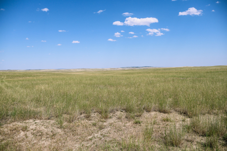 Horizon Flats – 157.224 Acres Near Billings, Montana - image 15